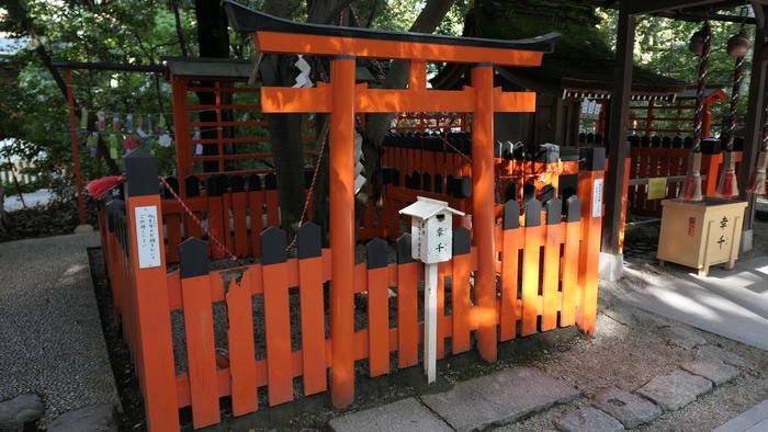 【京都】人の縁を結ぶ下鴨神社！見どころ・ご利益・お守りなどを徹底取材