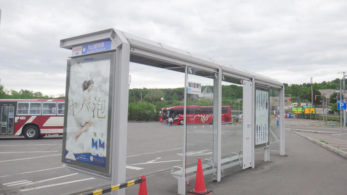 【北海道・旭川】「旭山動物園」の見どころを人気別に徹底解説！もぐもぐタイムは必見！