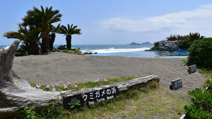 千葉・鴨川シーワールドの見どころを徹底解説！スタッフに聞いたおすすめの周り方もご紹介