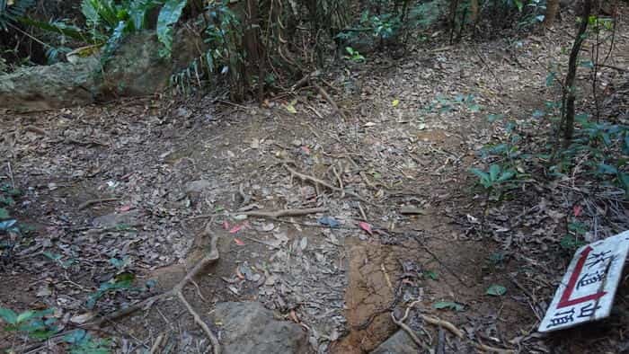 絶景が広がる石垣島の野底マーペー