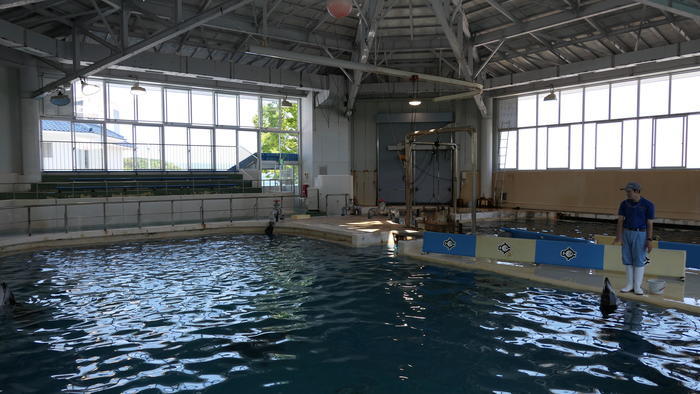 【石川県】リニューアルした「のとじま水族館」の見どころをまとめました！