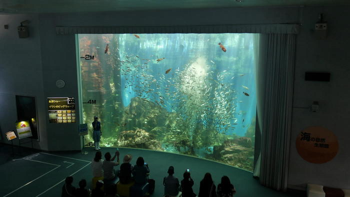 【石川県】リニューアルした「のとじま水族館」の見どころをまとめました！