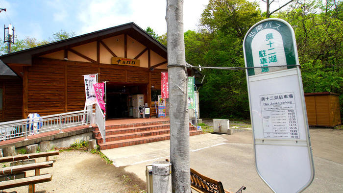 青森県と秋田県にまたがる世界遺産「白神山地」の十二湖散策コースをご紹介！