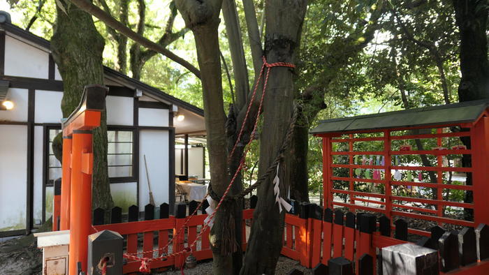 【京都】人の縁を結ぶ下鴨神社！見どころ・ご利益・お守りなどを徹底取材