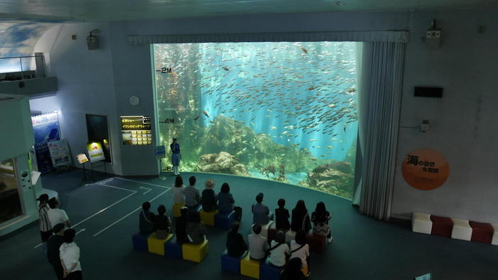 【石川県】リニューアルした「のとじま水族館」の見どころをまとめました！