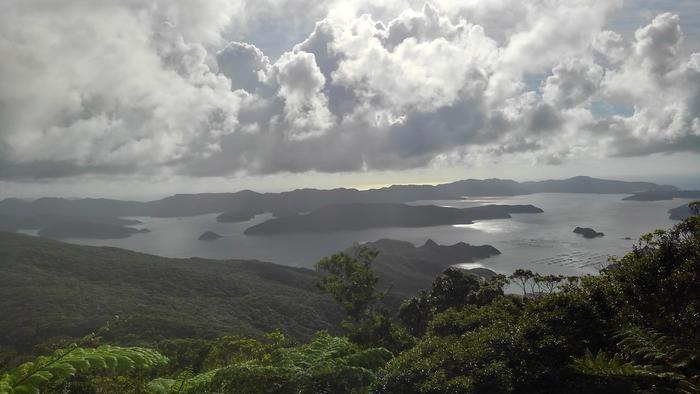 奄美大島ってどんなとこ？実は行きやすい大自然の島でした！