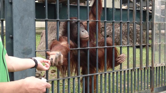 【北海道・旭川】「旭山動物園」の見どころを人気別に徹底解説！もぐもぐタイムは必見！