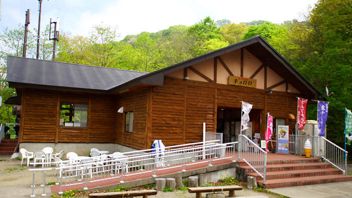 青森県と秋田県にまたがる世界遺産「白神山地」の十二湖散策コースをご紹介！