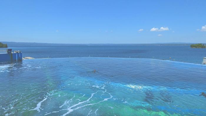 【石川県】リニューアルした「のとじま水族館」の見どころをまとめました！