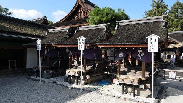 【京都】人の縁を結ぶ下鴨神社！見どころ・ご利益・お守りなどを徹底取材