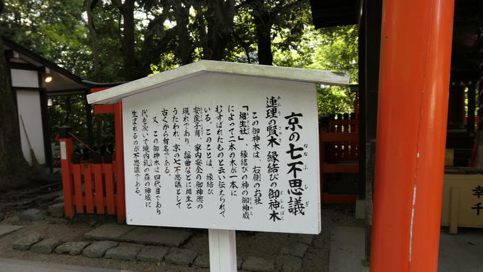 【京都】人の縁を結ぶ下鴨神社！見どころ・ご利益・お守りなどを徹底取材