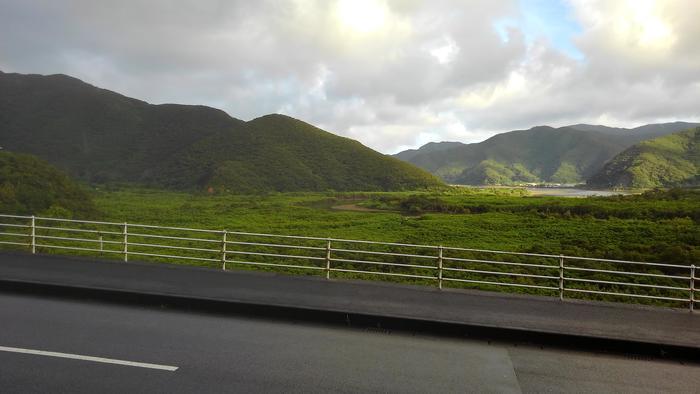 奄美大島ってどんなとこ？実は行きやすい大自然の島でした！