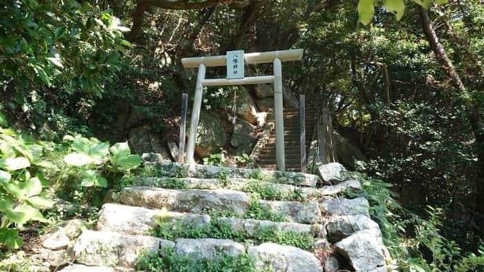 高知県の離島に行こう。宿毛市の「沖の島」がおすすめ！