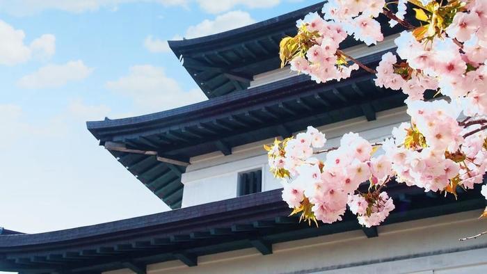 北海道の函館・松前　絶景の桜とお城を求めて＾＾