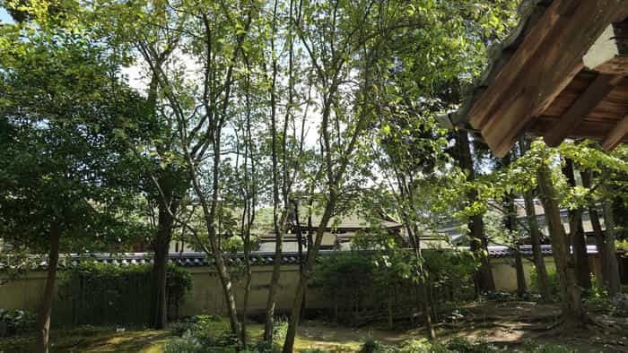 【京都】人の縁を結ぶ下鴨神社！見どころ・ご利益・お守りなどを徹底取材