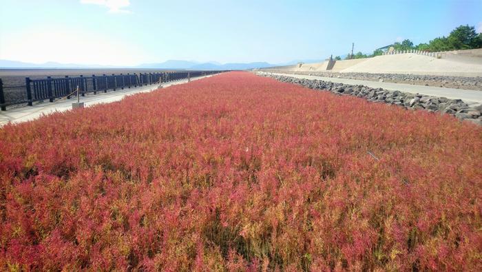 空に花に古代ロマン、知られざる佐賀県の魅力を紹介