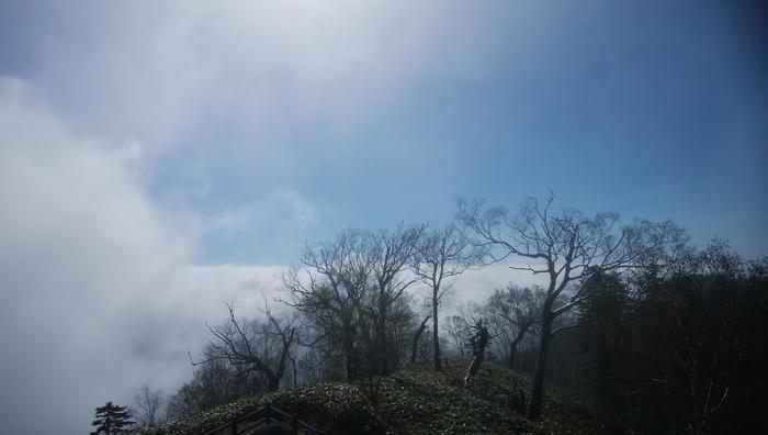 自然の神秘！津別峠早朝雲海、タウシュベツ橋梁、さらに北の味覚に出会う！？