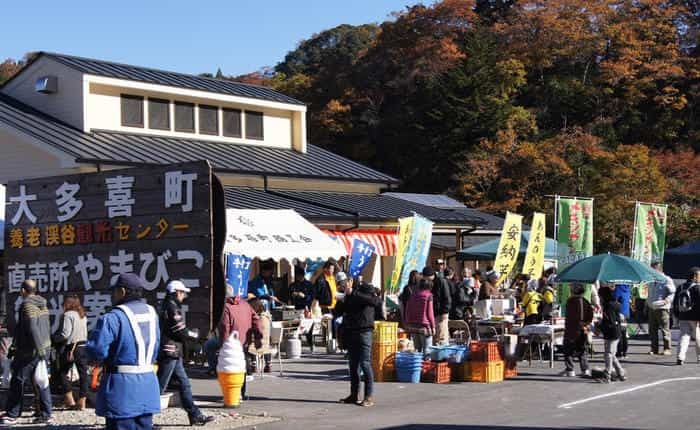 千葉房総の奥座敷！養老渓谷で渓谷ハイキング＆温泉グルメ三昧