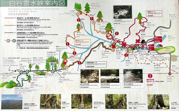 【鹿児島】屋久島の白谷雲水峡に行かれる方へ注意（2024年11月現在）