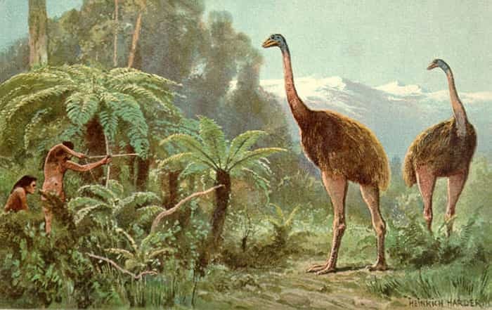 3300年前の巨鳥「モア」の”皮膚まで保存された足”がリアルすぎる。クローン化も可能？