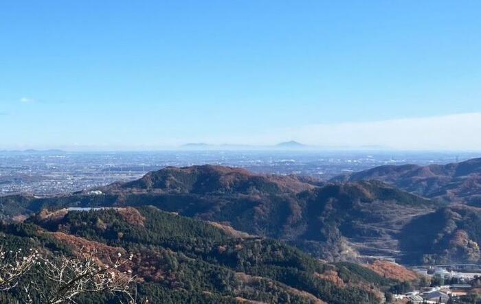 【群馬・藤岡市】桜山公園で森林空間を楽しむセラピー・トレイル体験モニターツアー