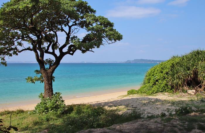 小さなキャロットアイランド！沖縄の離島・津堅島に行ってみよう