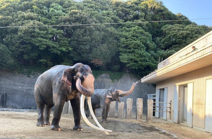 【神奈川・横浜】横浜市最高峰『大丸山』お気軽ハイキングでちょっと山頂へ♪