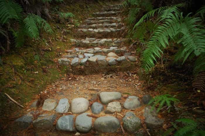 熊野古道の初心者におすすめ！ 登山コース「熊野本宮大社～参詣道」を完全ガイド