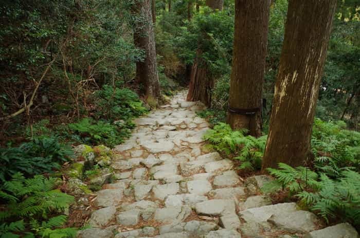 【和歌山県】那智の滝＆熊野那智大社の見どころを徹底解説