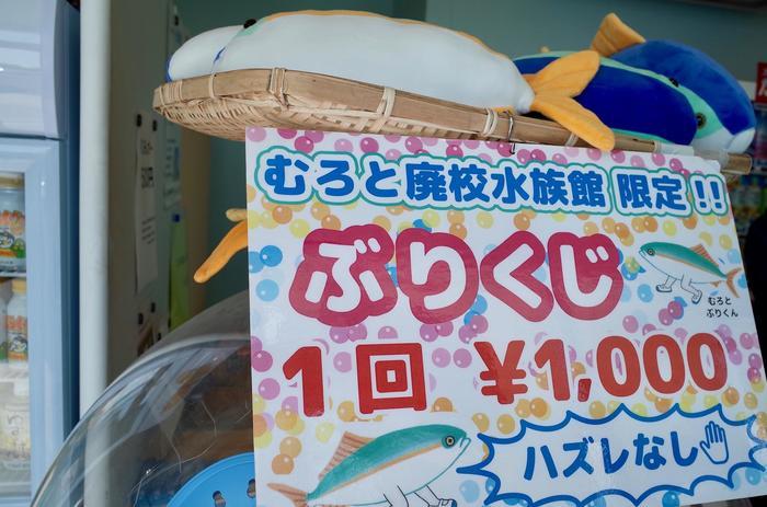 初めてのひがしこうちで大満足！おすすめスポット「ごめん・なはり線とむろと廃校水族館」