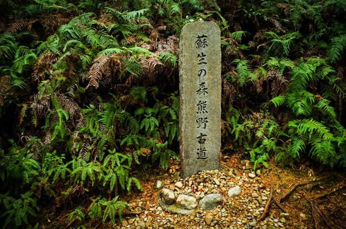 熊野古道の初心者におすすめ！ 登山コース「熊野本宮大社～参詣道」を完全ガイド