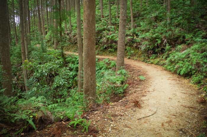 熊野古道の初心者におすすめ！ 登山コース「熊野本宮大社～参詣道」を完全ガイド