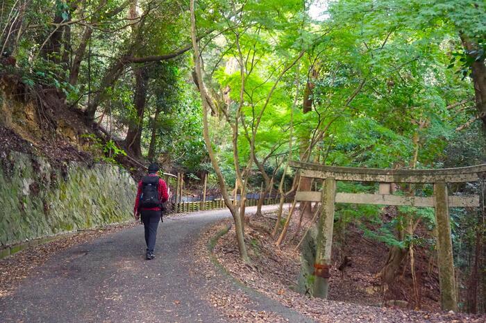 【兵庫】ノスタルジックな町並みと海に癒される♪茶臼山の登山 in 坂越