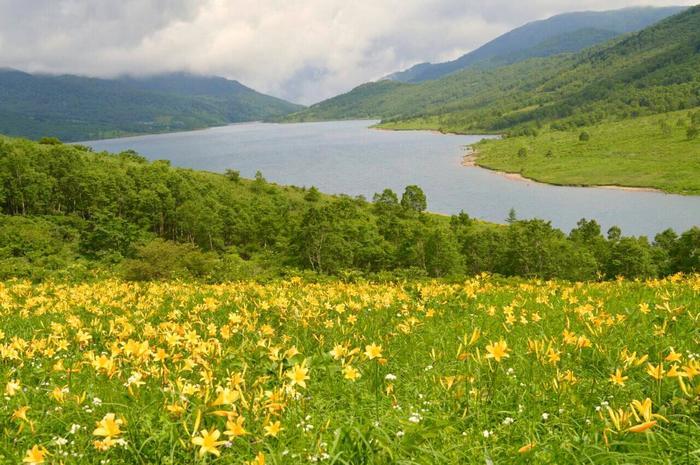 この絶景はどこ？ニュージーランド？北欧？いえいえ群馬県の「野反湖」です。