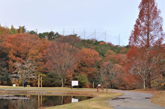 歩く瞑想！金色の湧水！夕日の絶景！日常から解放される自然スポット in 三木＜兵庫＞