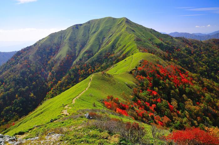 【日本百名山】23座目は天空の絶景ロードを見たくて剣山へ（徳島県）