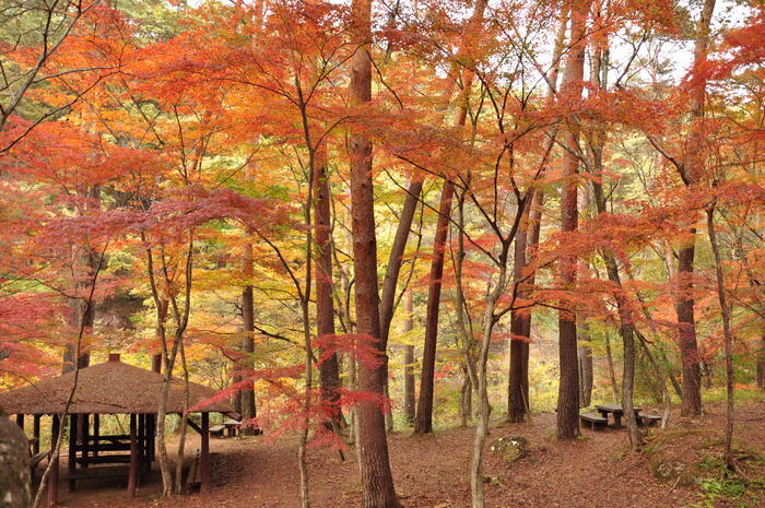 昇仙峡観光で訪れたい！おすすめ絶景・体験スポットを紹介！