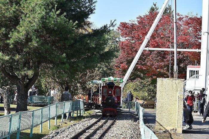 ワンコインでおつりがくるコスパ最高の動物園　「おびひろ動物園」