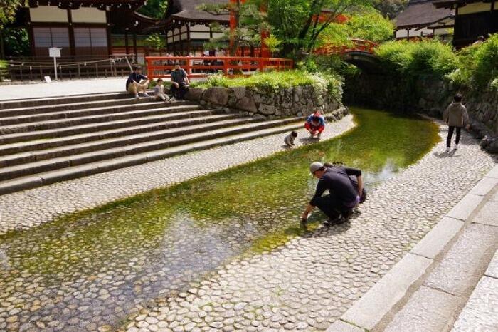 真夏に行きたい！京都市内の避暑地「夏らしい風情のある神社仏閣5選」