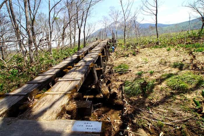 いざ水芭蕉の楽園へ！初心者でも日帰りできる尾瀬ヶ原ハイキングコース