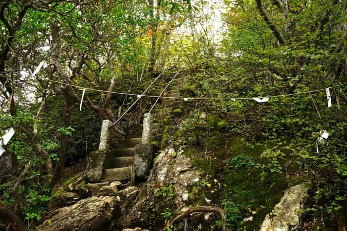 【埼玉／奥秩父】関東屈指のパワースポット！三峯神社の見どころ・お守り・御朱印をご紹介