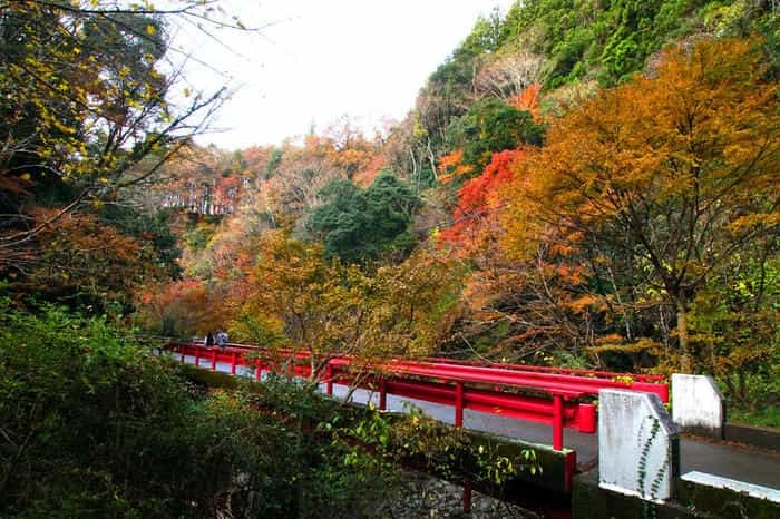 千葉房総の奥座敷！養老渓谷で渓谷ハイキング＆温泉グルメ三昧