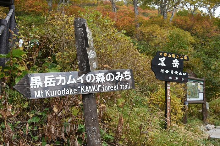 【北海道】「カムイミンタラ（神々の遊ぶ庭）」と呼ばれる大雪山系・黒岳で紅葉をめでる