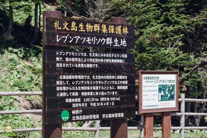 絶景の連続!北海道・礼文島でトレッキングを楽しもう~岬めぐりコース編~