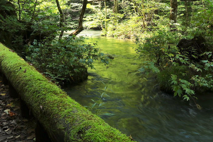 【四季と宿をめぐる旅】青森県〜星野リゾート　奥入瀬渓流ホテルと生命力溢れる渓流〜