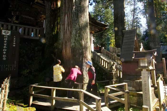 【埼玉／奥秩父】関東屈指のパワースポット！三峯神社の見どころ・お守り・御朱印をご紹介