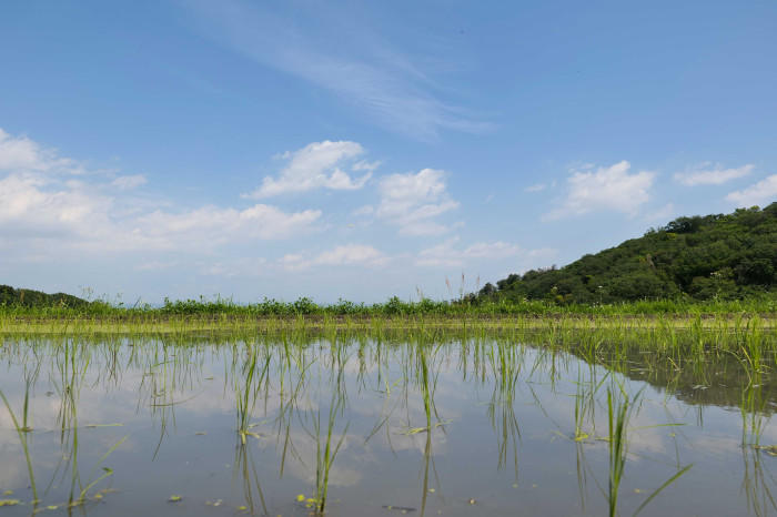 奈良県南生駒、西畑の棚田へお出かけしよう！