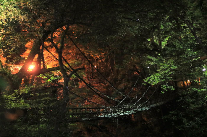 【四季と宿をめぐる旅】徳島県〜食欲の秋！祖谷渓温泉ホテル秘境の湯とかずら橋ライトアップ〜