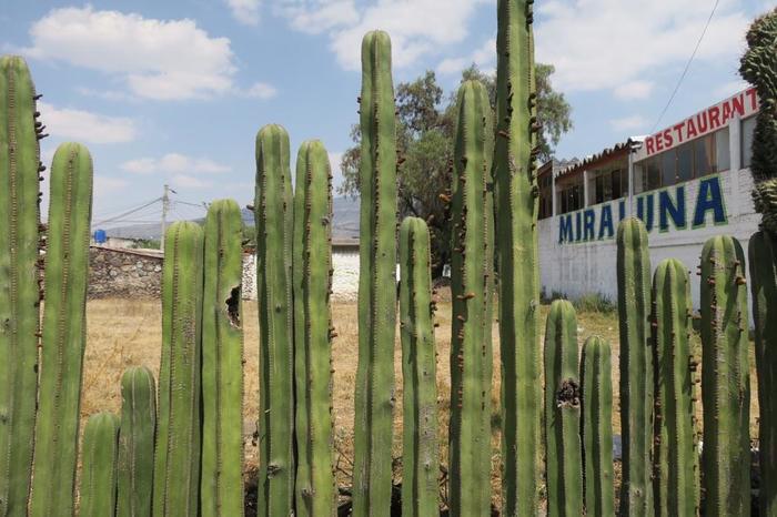 圧倒されるマヤ文明の遺跡！メキシコ「チチェン・イッツァ」