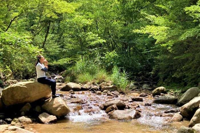 【神戸市内】涼しい＆リフレッシュ♪ビギナーでも楽しめる逢山峡の沢登り